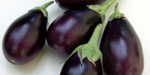 Brinjal