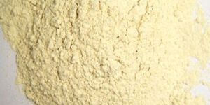 Dehydrated Garlic Powder