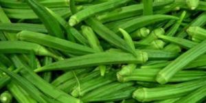 Okra