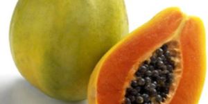 Papaya