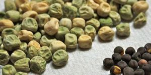 Pea Seeds