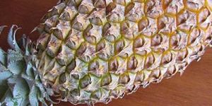 Fresh Pineapple