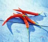 Chilli Pepper