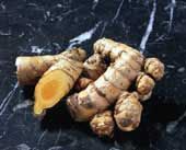 Turmeric
