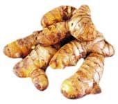 Turmeric