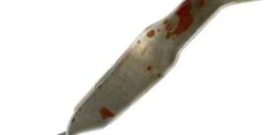 Stainless Steel Anchor-07
