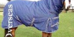 horse Blanket: TRC - 2003052
