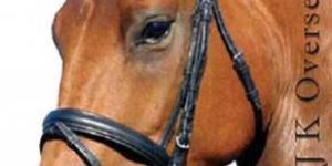 Horse Bridles - LB - 2003002