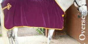 Velvet Show Rugs: SR-2003076