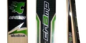 Kashmir Willow Bats