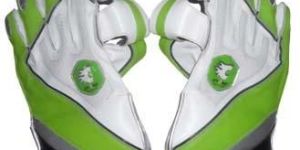 Wicket Keeping Gloves