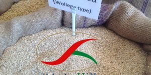 Ethiopian Sesame Seeds