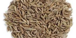 Cumin Seeds
