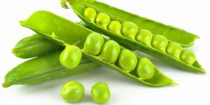 Fresh Green Peas