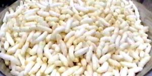 Puffed Rice