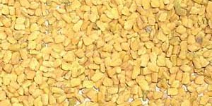 Fenugreek Seeds