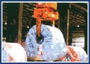 Stevedoring Services