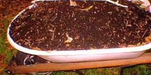 Organic Fertilizers