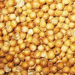Coriander Seeds