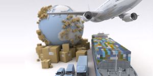 International Cargo Shifting Services
