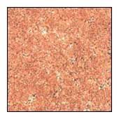 Sindoor Red Granite