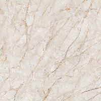 Polished Tiles