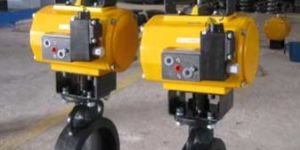 Pneumatic Butterfly Valve