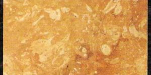 Golden Flower Sandstone