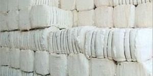 Raw Cotton Bale