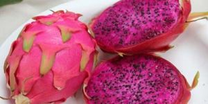 Dragon Fruit