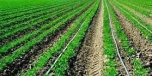 Drip Irrigation Equipment