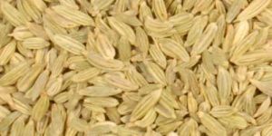 Fennel Seeds