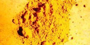 Yellow Pigment