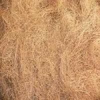 Coco Fibers