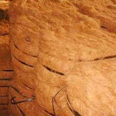 Coir Fiber