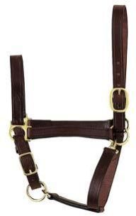 Suckling Foal Leather Halter