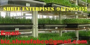 Hydroponic Fodder System