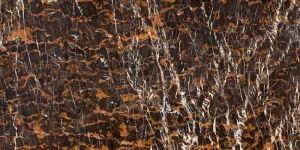 Golden Brown Marble Slab