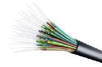 Fiber Optic