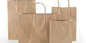 Kraft Paper Carry Bags