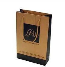 Paper Shopping Bag