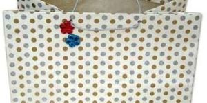 Wedding Gift Bag
