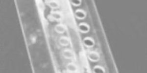 Acrylic Test Tube Rack