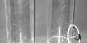 Museum Specimen Round Jar