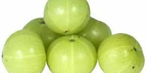 Fresh Amla