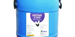 Feed Enzyme