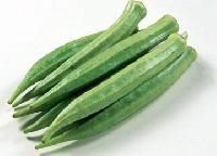 Hybrid Okra Seeds
