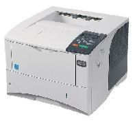 Network Printer