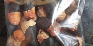 Comboata Draid Seed with Fruits