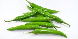 Fresh Green Chilli
